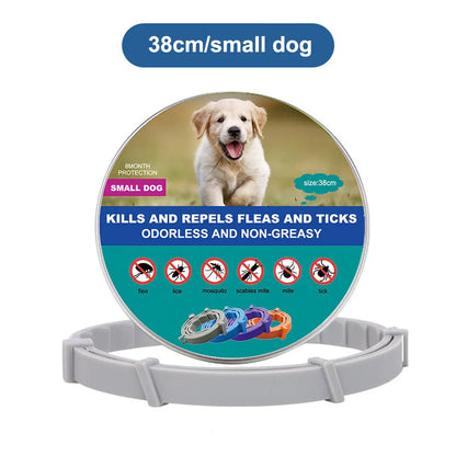 New Dog and Cat Veterinary Anti Flea and Tick Collar