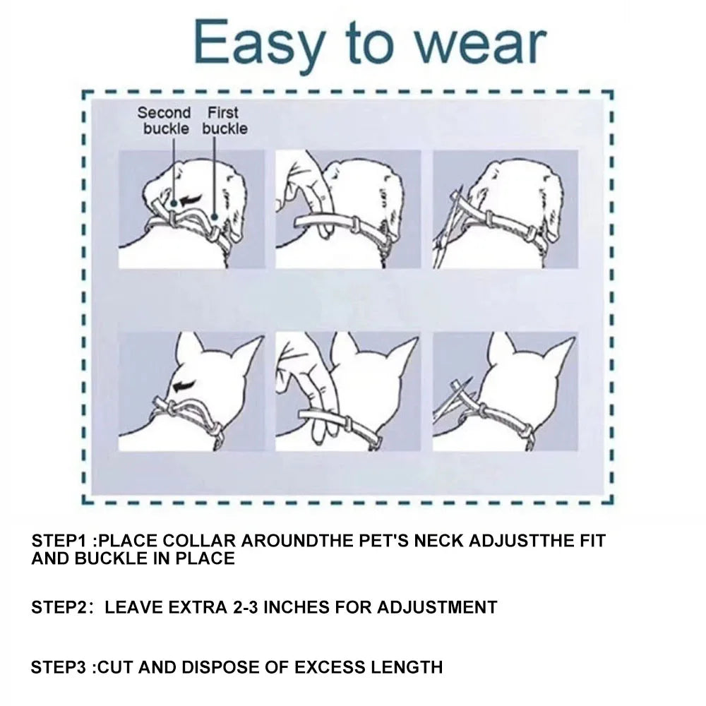 New Dog and Cat Veterinary Anti Flea and Tick Collar