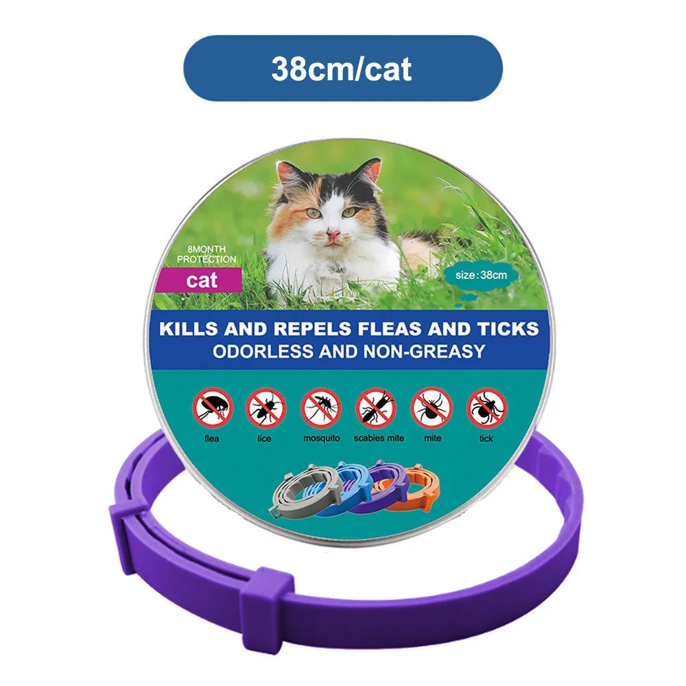 New Dog and Cat Veterinary Anti Flea and Tick Collar