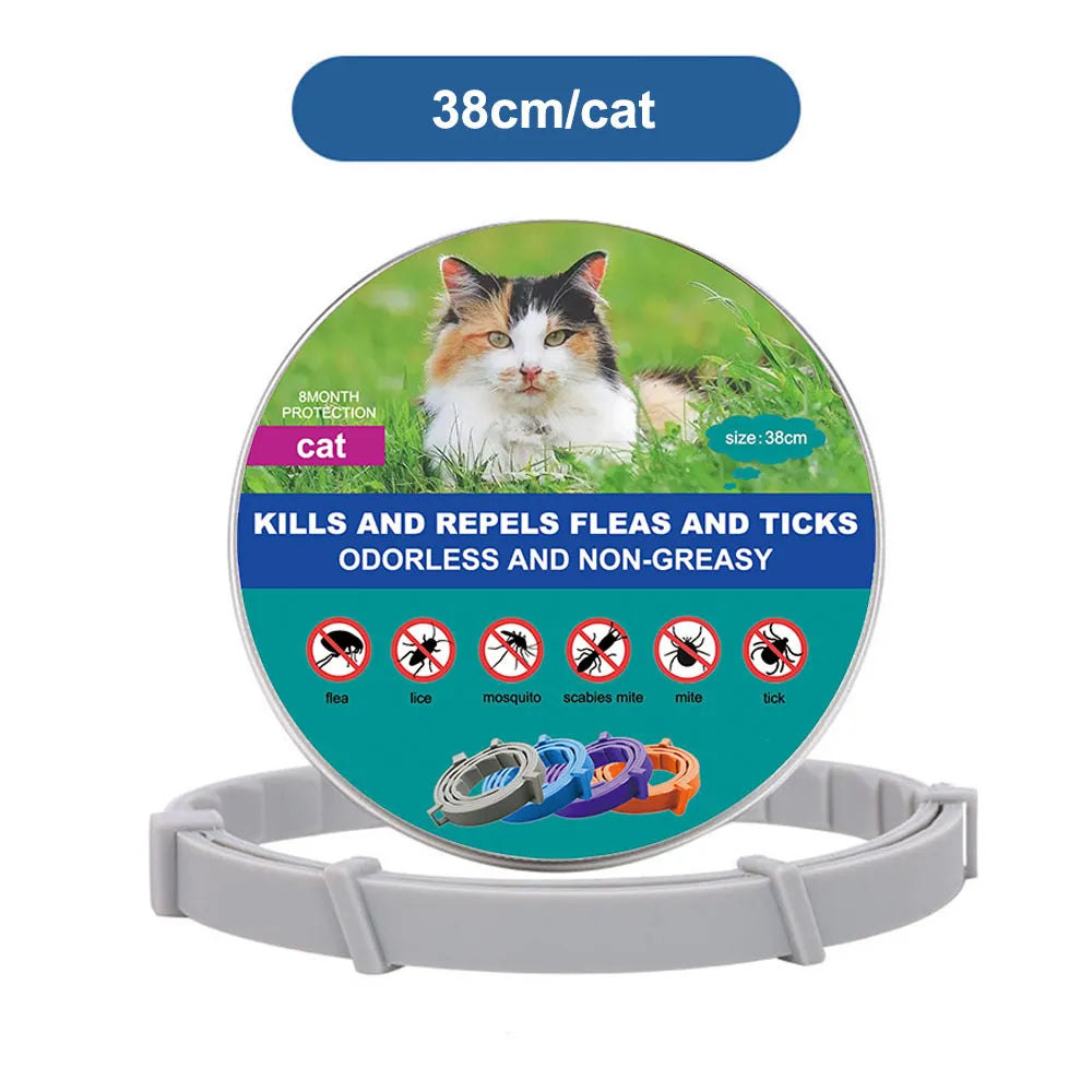 New Dog and Cat Veterinary Anti Flea and Tick Collar